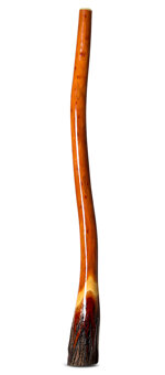 Ironbark Didgeridoo (IB228)